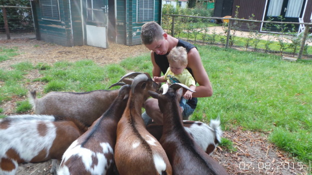 Geitenboerderij Veluwe