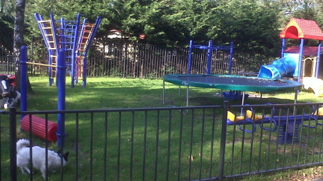 Speeltuin kinderen kinderpret gezin camping vakantieoord Veluwe